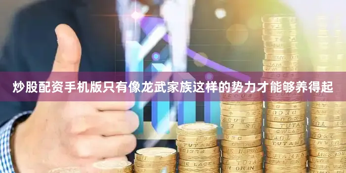 炒股配资手机版只有像龙武家族这样的势力才能够养得起